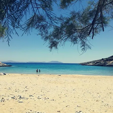 公寓 Amalthea Schinousa *